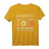 11. Geburtstag Legendär Seit 2013 T-Shirt - Perfektes Geschenk für 11-jährige Jungen und Mädchen, Familienfeier & Geburtstagsfeier