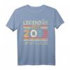 11. Geburtstag Legendär Seit 2013 T-Shirt - Perfektes Geschenk für 11-jährige Jungen und Mädchen, Familienfeier & Geburtstagsfeier
