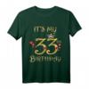 33. Geburtstag Queen T-Shirt für Frauen - Süßes Geburtstag Outfit, Level 33 Unlocked & Fabulous Birthday Geschenk