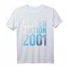 23. Geburtstag Mann T-Shirt – Limited Edition 2001 Geschenk für 23 Jahre lustige Geschenkidee & Deko