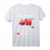 Ich werde großer Bruder 2020 T-Shirt - Geschenkidee für den großen Bruder zum Geburtstag oder zur Geburt