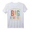 Big Brother Promoted To Big Brother 2023 T-Shirt – Süßes Retro-Vintage Design für Schwangerschaftsankündigung & Geschwistergeschenke