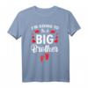 Baby- und Geschwisterankündigung T-Shirt - 'I am Going To Be A Big Brother' für kreative Schwangerschafts- und Geschwisterfeiern