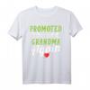 Wieder zu Oma befördert T-Shirt – Lustiges Schwangerschafts- und Oma-Geschenk für Muttertag, Geburtstag & Weihnachten