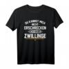 Lustiges Herren-Papatag T-Shirt mit Zwilling-Motiv – Vatertagsgeschenk für stolze Väter, Männertag & Herrentag Geschenkidee